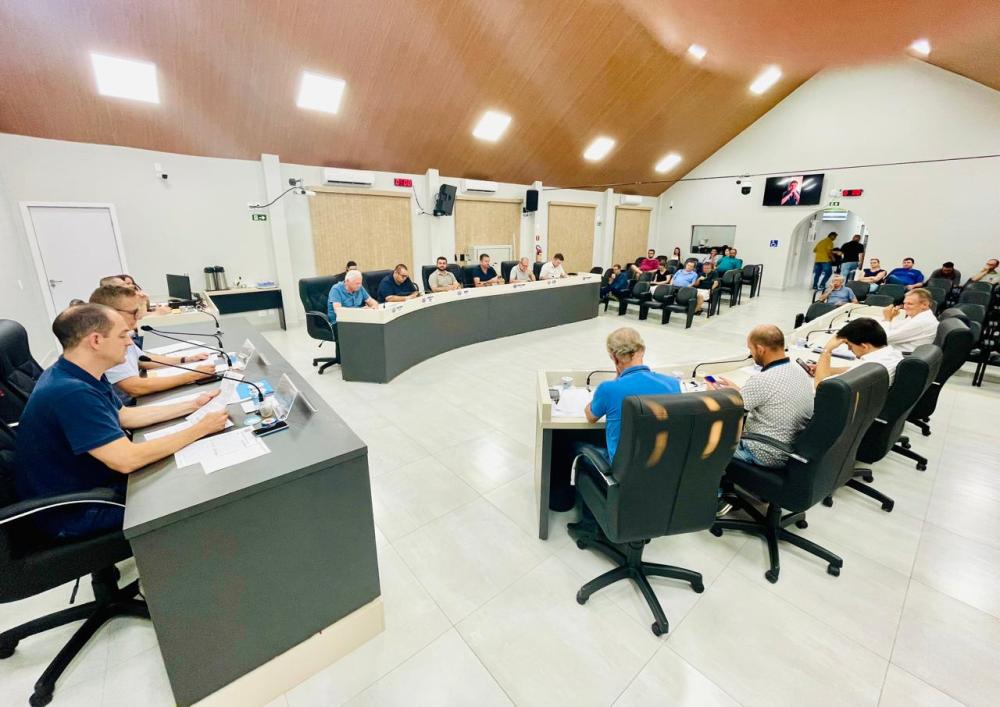 Projeto começou a tramitar na sessão desta segunda-feira (28). Foto: Cristiano Viteck