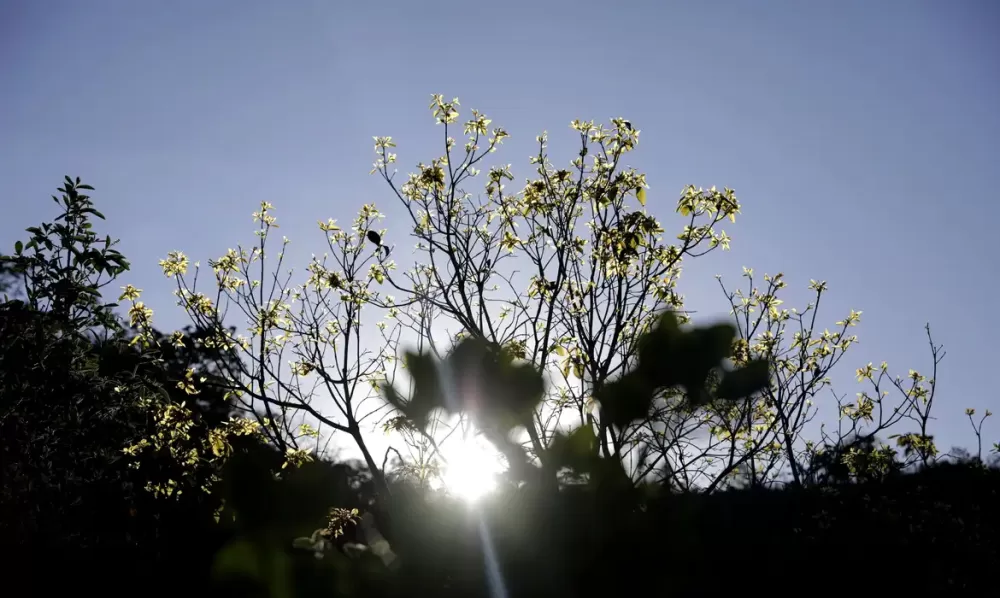 © Joédson Alves/Agência Brasil