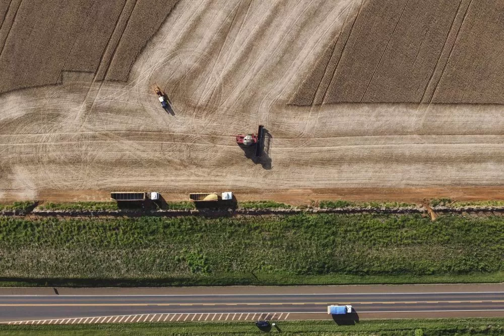 O agronegócio ajuda a impulsionar o crescimento do Estado do Paraná. Foto: Jonathan Campos/AEN
