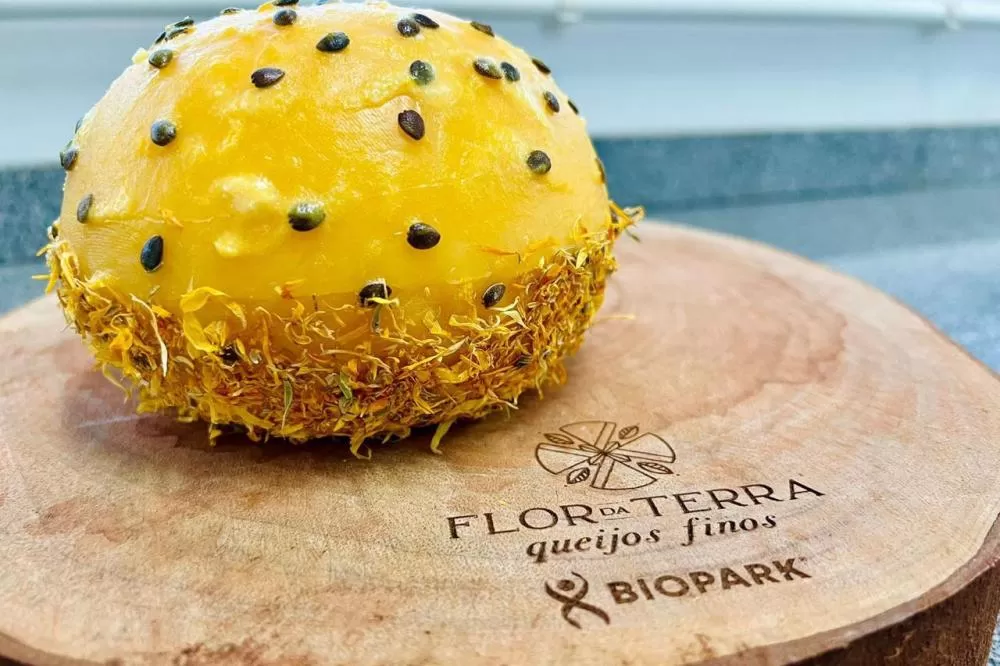 Queijo paranaense produzido na região Oeste está entre os nove melhores do mundo. Foto: Divulgação/Biopark