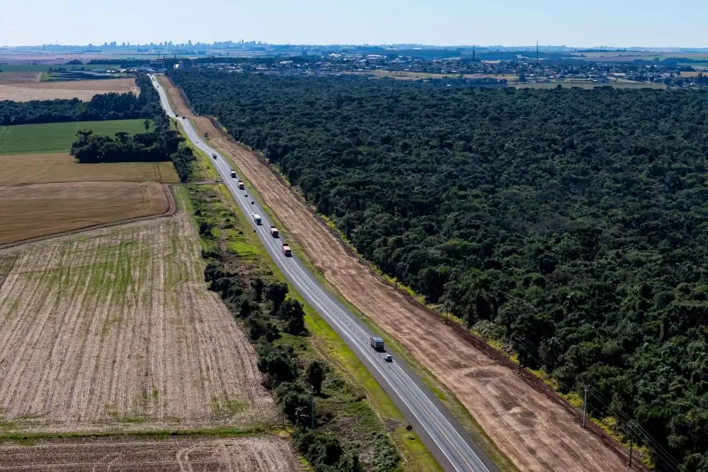 BR 277, ao lado do Parque Nacional, no km 616. Foto: Roberto Dziura Jr/AEN