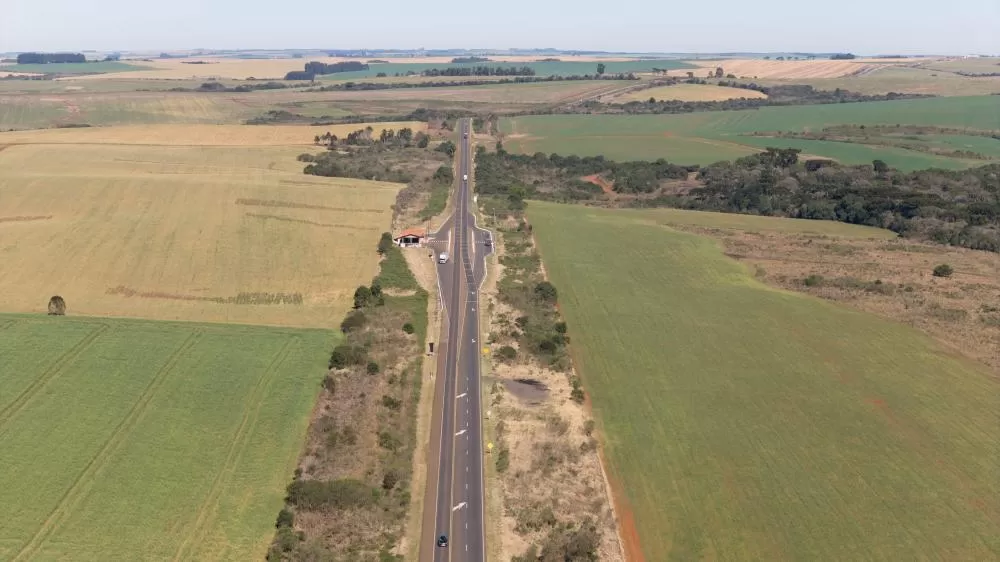 BR 277, região de Candoy. Foto: Roberto Dziura Jr/AEN