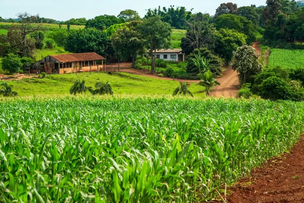 Zona rural de Mercedes (PR). Foto: Edino Krug/Itaipu Binacional