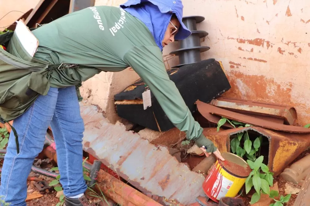Marechal Cândido Rondon intensifica combate ao Aedes aegypti e alerta para colaboração da população
