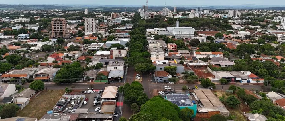 A iniciativa visa estabelecer diretrizes para a preservação e ampliação das áreas verdes urbanas. (Fotos: Assessoria/Prefeitura)