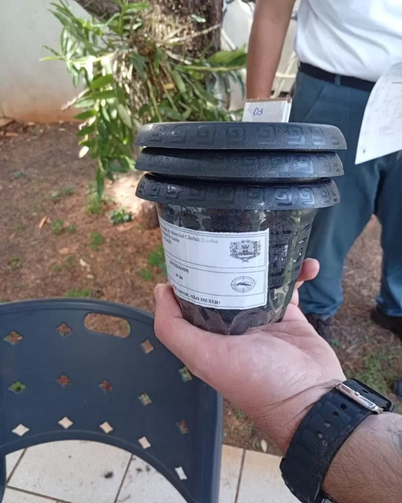 As armadilhas estão sendo distribuídas em residências e também colocadas em espaços públicos. (Foto: Assessoria/Prefeitura)