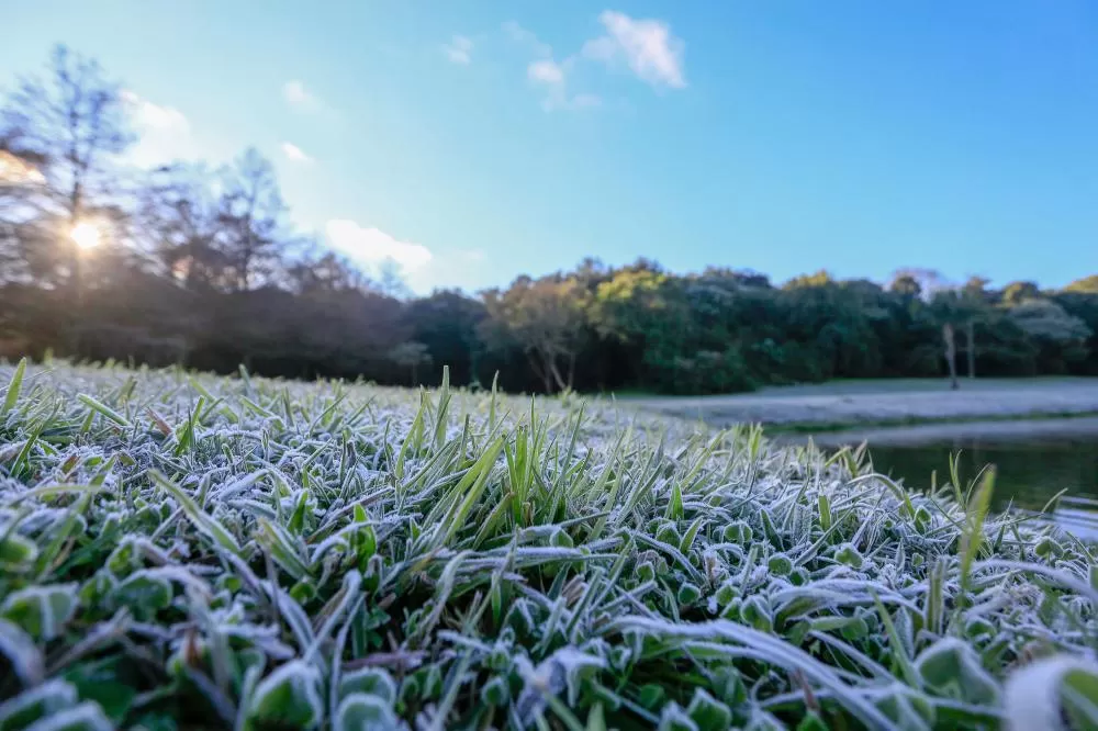 Foto: Valdelino Pontes/SECID-PR