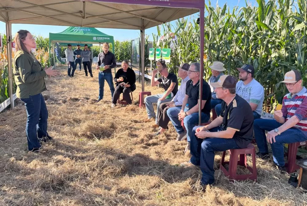Produtores visitam área demonstrativa durante o Dia de Campo Milho Safrinha da Primato em Toledo (PR), em um momento de troca de conhecimentos e apresentação de tecnologias. (Foto: Assessoria/Primato)