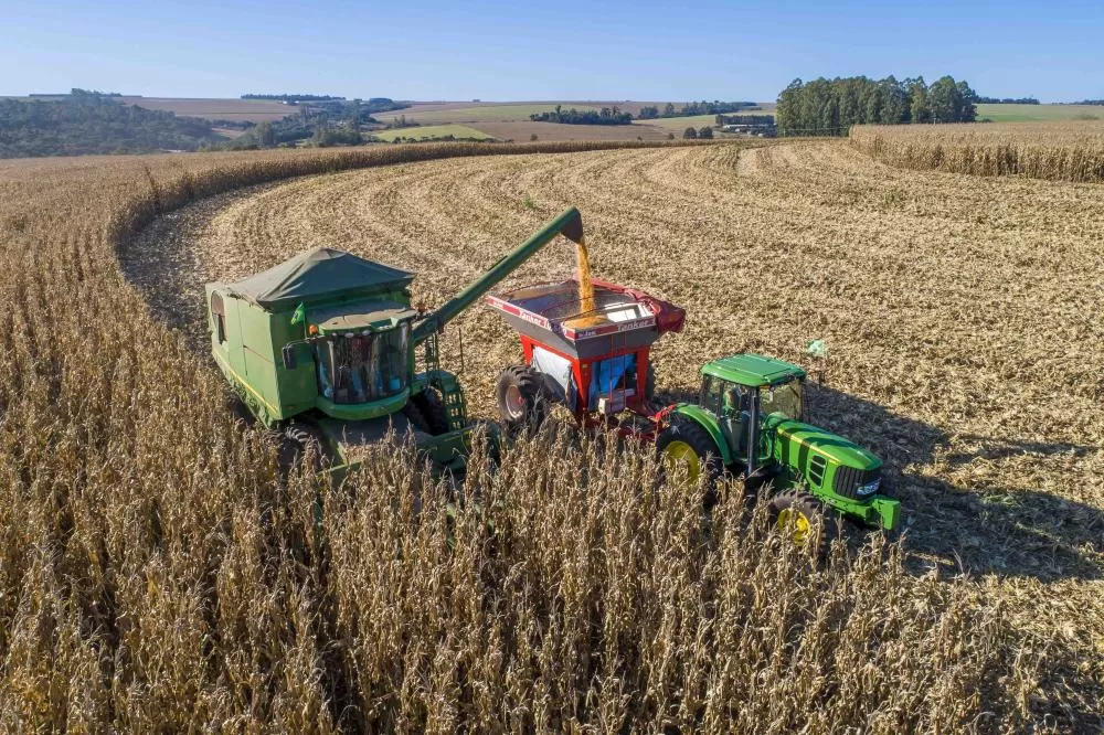 Toledo mantém a tradição e se consolida como líder estadual na produção agropecuária, com destaque para a suinocultura e avicultura. (Foto: Fabio Ulsenheimer)