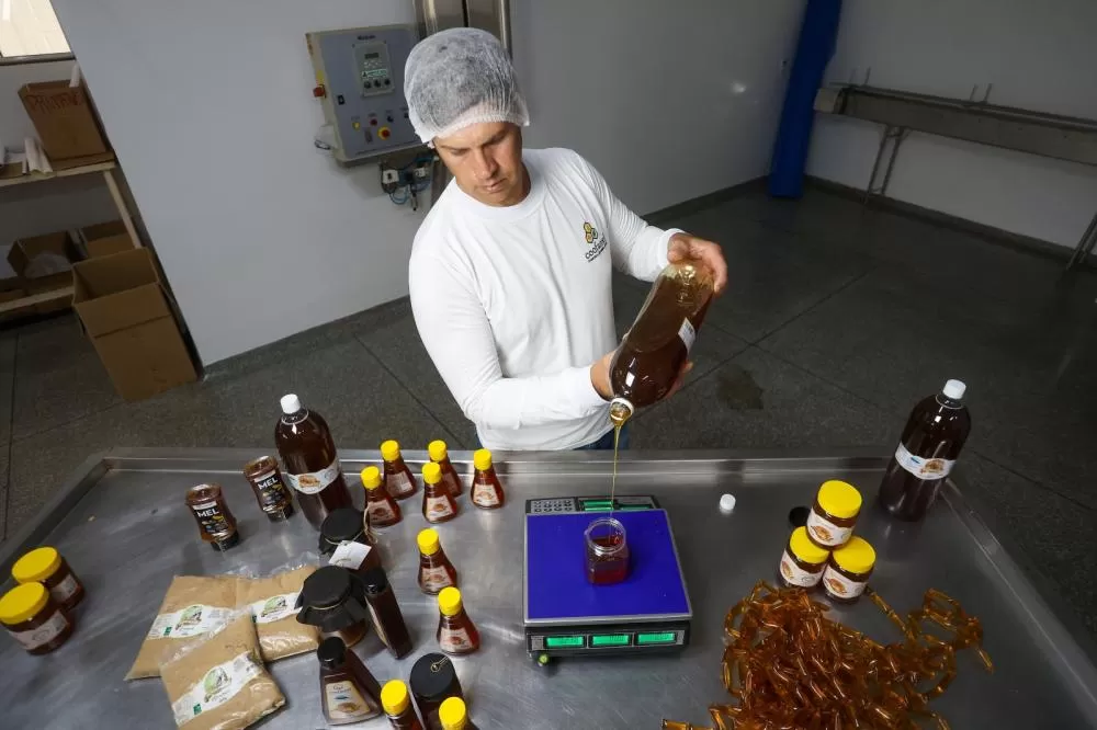 O Mel do Oeste do Paraná tem uma história de duas décadas e em julho de 2017 conquistou a IG (Indicação Geográfica). (Foto: Gilson Abreu/AEN)