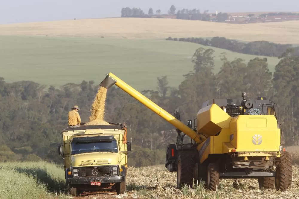 Colheita do milho avança no Paraná e consolida safra recorde em volume e produtividade. (Foto: Albari Rosa/Arquivo AEN)