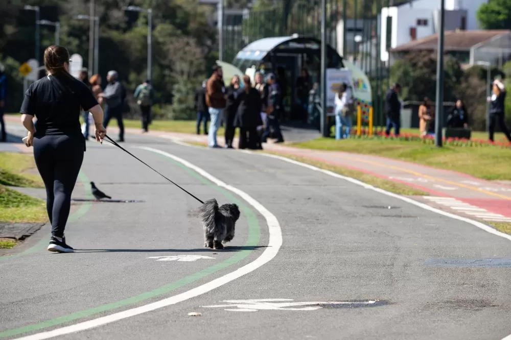 Paraná terá calor de até 37°C no fim de semana, mas frente fria derruba temperaturas no domingo. (Foto: Roberto Dziura Jr/AEN)