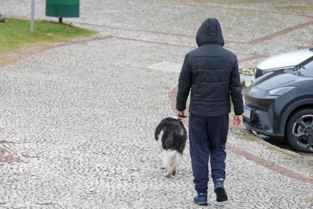 Chuvas intensas e queda brusca de temperatura marcaram o fim de semana no Paraná; Palmas registrou mais de 200 mm em agosto, quase o dobro da média histórica. (Foto: Geraldo Bubniak/AEN)