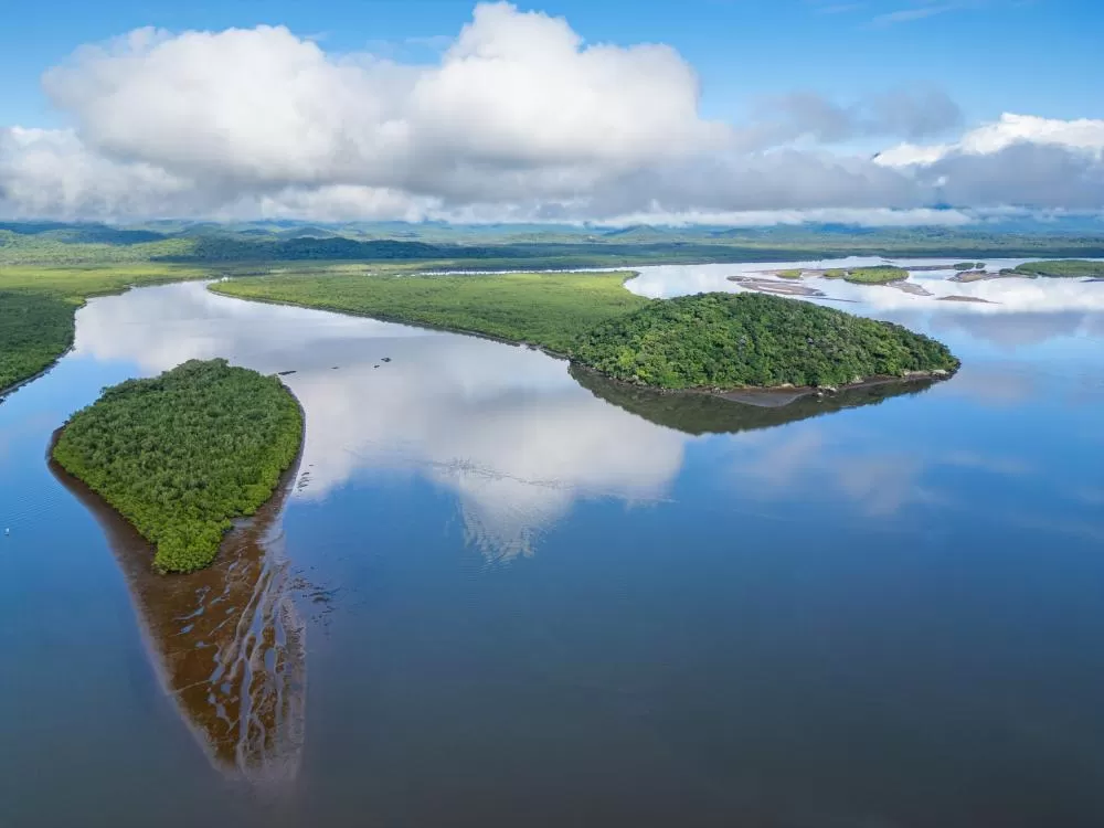 Investimentos em planos de manejo e conselhos gestores vão fortalecer a proteção ambiental no litoral do Paraná. (Foto: Divulgação)