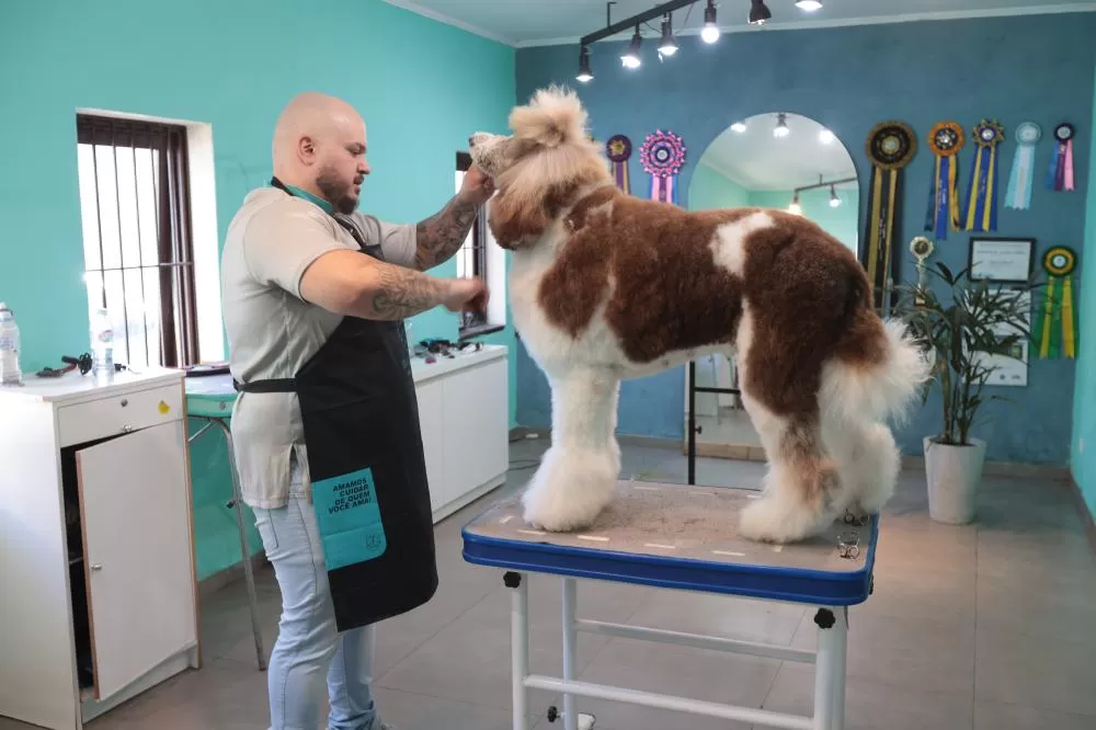 Setor de serviços lidera a geração de empregos no Paraná em 2025, movimentando economia em todas as regiões do Estado. (Foto: Geraldo Bubniak/AEN)