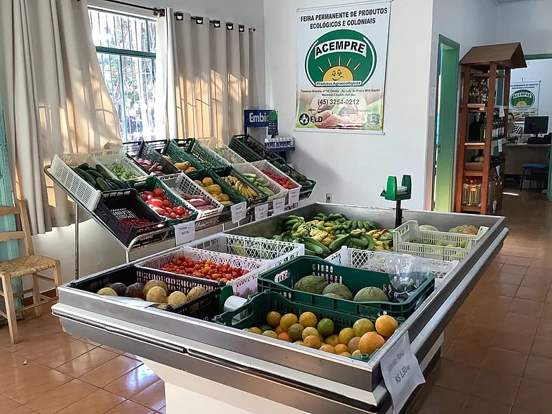 Vereadores propuseram sede própria para a Acempre, visando fortalecer a coleta seletiva e a sustentabilidade em Marechal Cândido Rondon. (Foto: Divulgação)