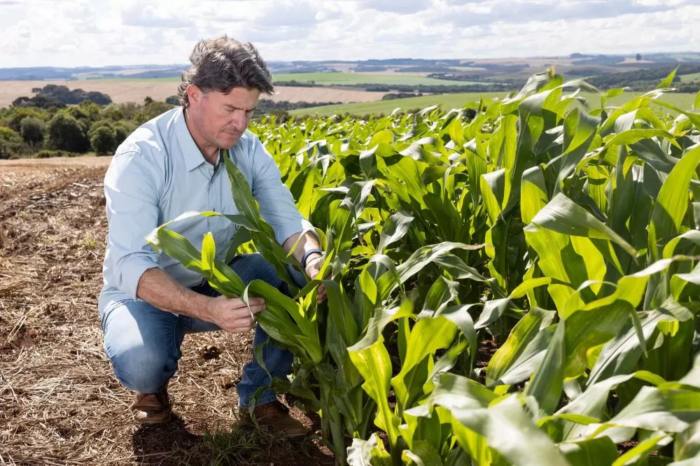 Programa do Tecpar impulsiona validação de projetos de carbono e reforça liderança sustentável do Paraná
