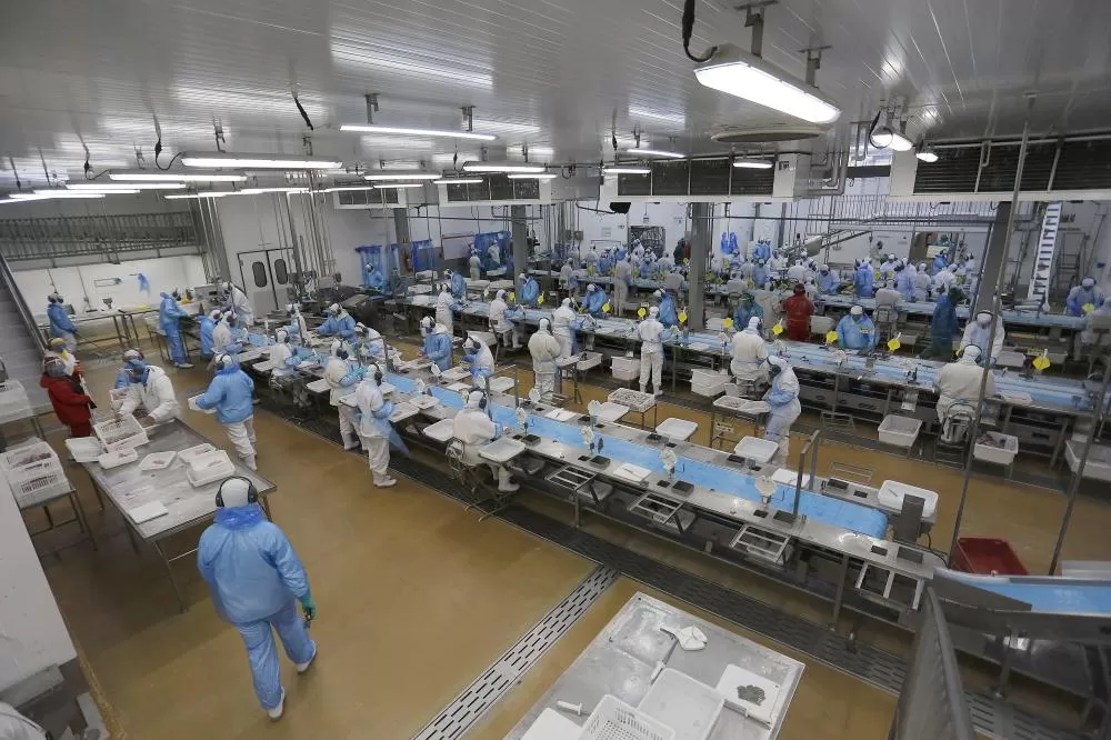 O Paraná abre a primeira semana de dezembro com um marco inédito no mercado de trabalho: 27.158 vagas disponíveis nas Agências do Trabalhador em todo o Estado, superando o recorde anterior registrado em outubro, com 26.718 oportunidades. O volume reforça 