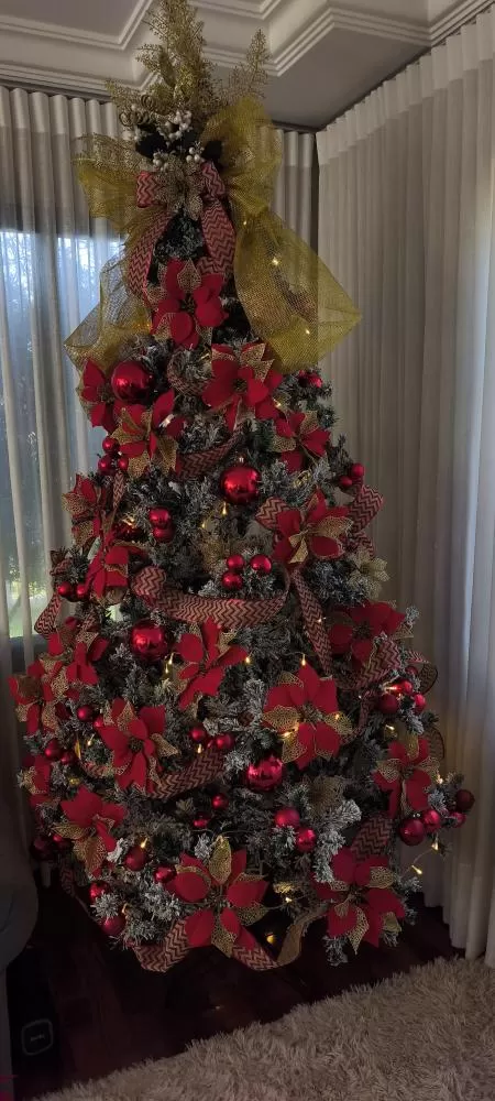 Árvore de Natal permanece montada após o Dia de Reis, em sintonia com a tradição litúrgica, que encerra o período natalino somente com a celebração do Batismo do Senhor. (Foto: João Livi)