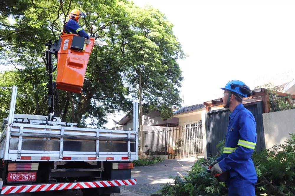 Trabalhos de poda de árvores avançam em Marechal Cândido Rondon com foco na segurança e no manejo responsável da arborização urbana. (Foto: Divulgação)