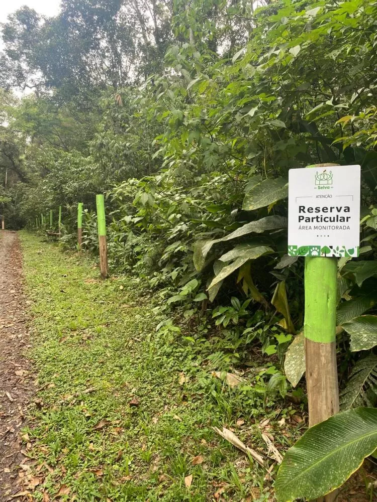 Reservas Particulares do Patrimônio Natural ampliam a proteção da Mata Atlântica e reforçam a conservação ambiental no litoral do Paraná. (Foto: Divulgação)