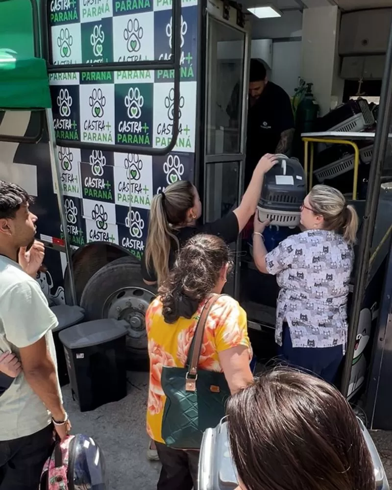 Mutirão de castração do Programa Castra Mais Paraná 2 acontece no parque de exposições e atende cães e gatos do município. (Foto: Divulgação)