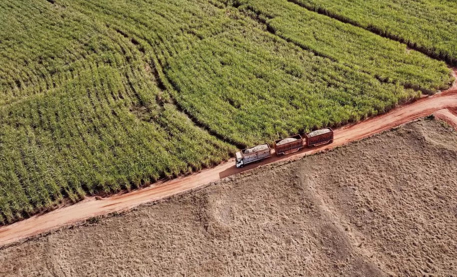 Colheita de soja avança no Paraná em meio a calor intenso e instabilidade climática. (Foto: José Fernando Ogura/Arquivo AEN)