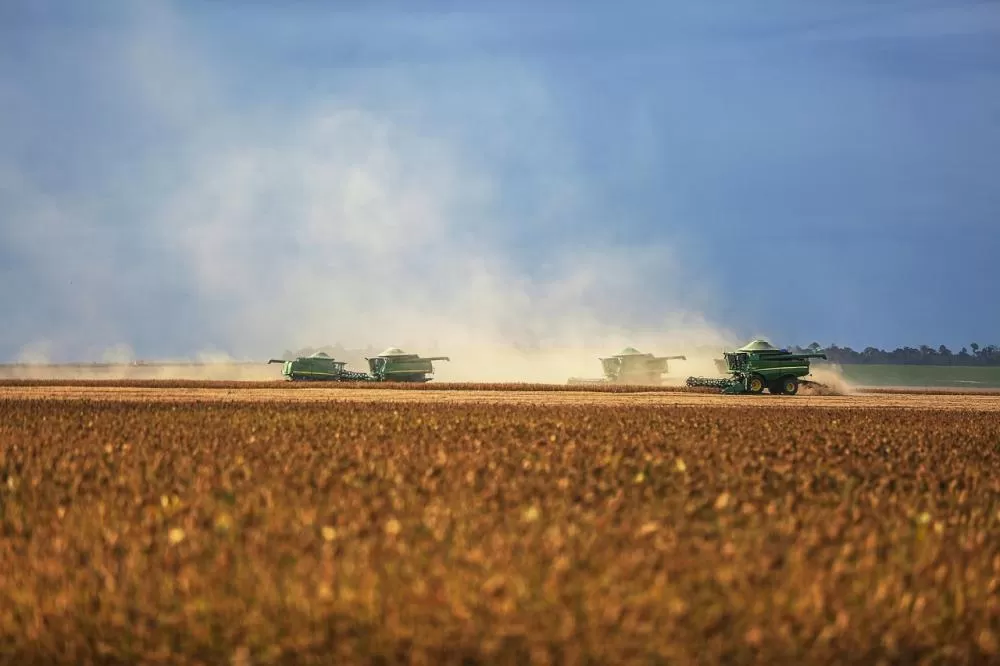 Lavoura de soja em fase de desenvolvimento no Brasil, cultura que deve atingir novo recorde de produção na safra 2025/26. (Foto: Divulgação)