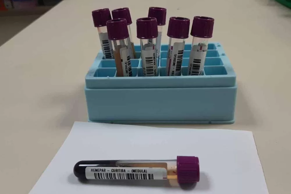 Campanha Fevereiro Laranja alerta para importância do diagnóstico precoce da leucemia. (Foto: Divulgação)