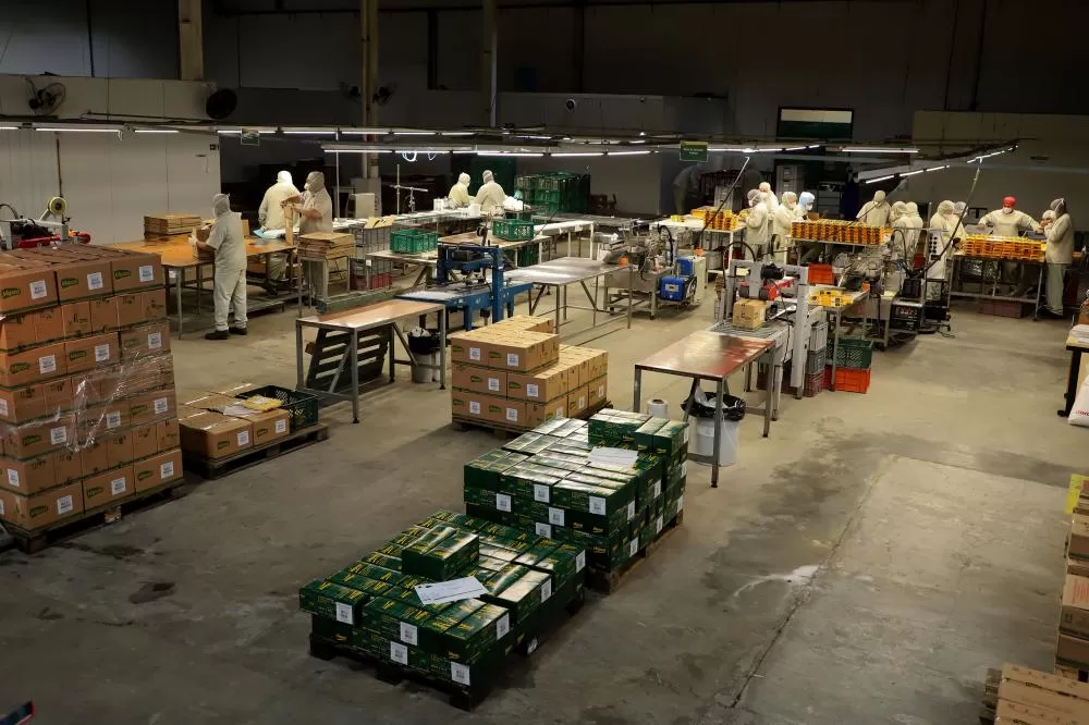 Paraná abre 24,8 mil vagas e reforça rede de colocação profissional