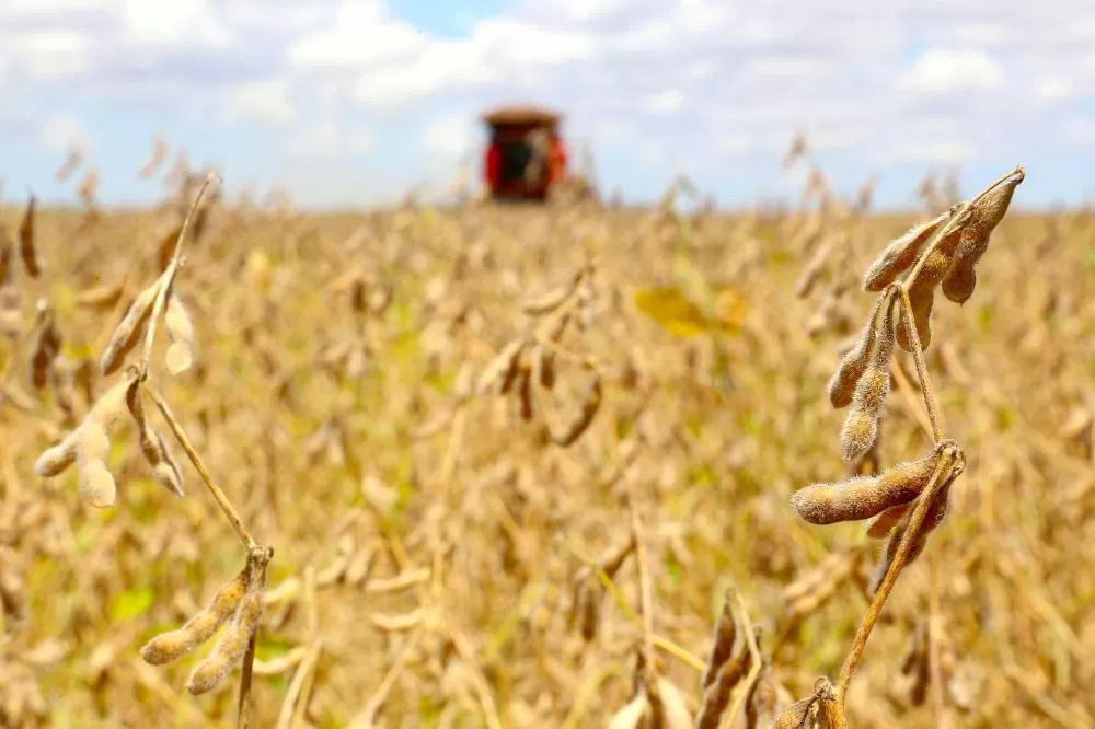 Produção de grãos do Paraná deve crescer em 2026, com destaque para soja, milho e feijão. (Foto: Jaelson Lucas/Arquivo AEN)