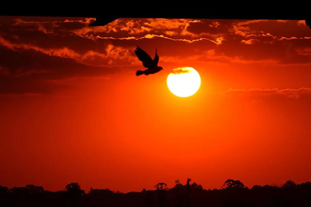 Verão no Paraná foi marcado por calor intenso, chuvas irregulares e eventos climáticos extremos. (Foto: José Fernando Ogura/AEN)