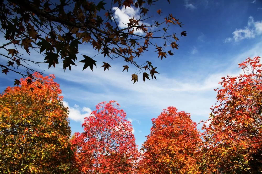 Calor e pancadas de chuva marcam o início do outono no Paraná. (Foto: José Fernando Ogura/Arquivo AEN)