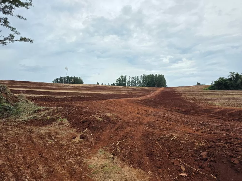 Os vereadores  Carlinhos e Marciel  sugerem ao Executivo Municipal a realização de patrolamento na Linha Hermann. (Foto: Divulgação)