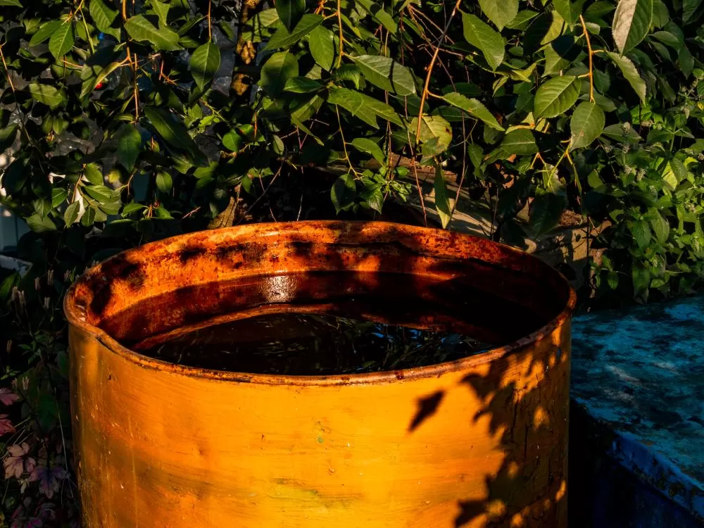 Foi sugerida ação de limpeza comunitária ou mutirão de combate à dengue em área urbana. (Foto: Freepik)