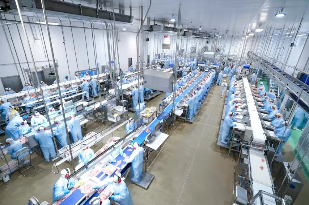 Comitiva internacional visitou a C.Vale, em Palotina, para conhecer o modelo de produção de tilápia no Oeste do Paraná. (Foto: Renan Pereira/C.Vale)