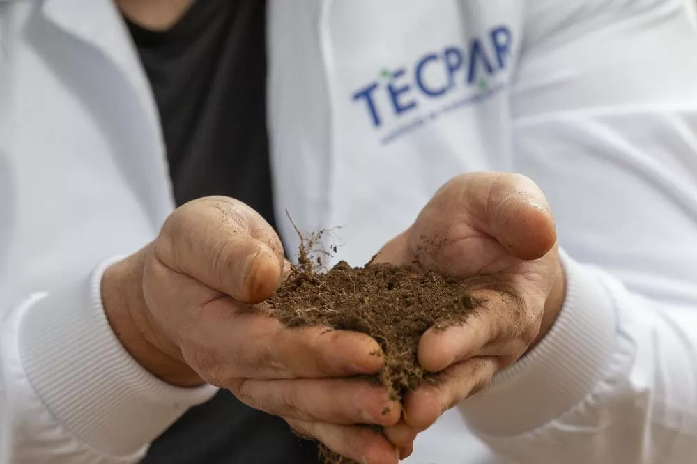 Paraná avança com projeto inédito para mapear DNA do solo