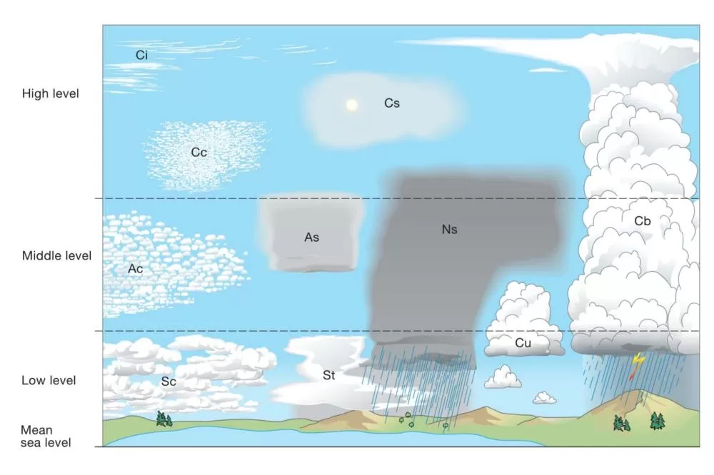 Olhar para o céu deixou de ser apenas contemplação. Em tempos de mudanças rápidas no clima, identificar os tipos de nuvens pode ser um alerta importante — e até decisivo — para entender o que está por vir. De acordo com o Simepar, algumas formações são v