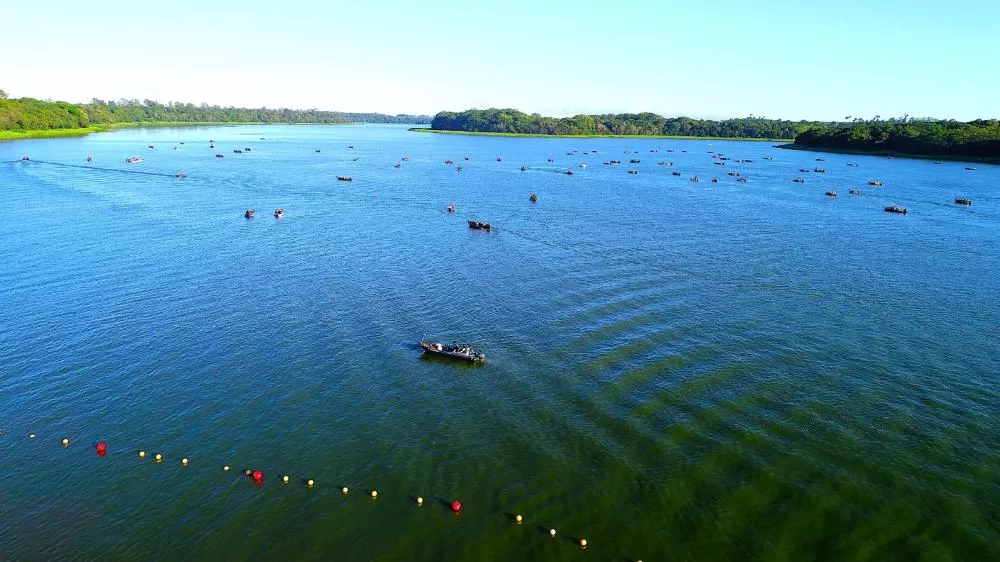 Potencial de utilização do lago será analisado durante oficinas que reúnem municípios da região lindeira ao lago de Itaipu. (Foto: Divulgação)