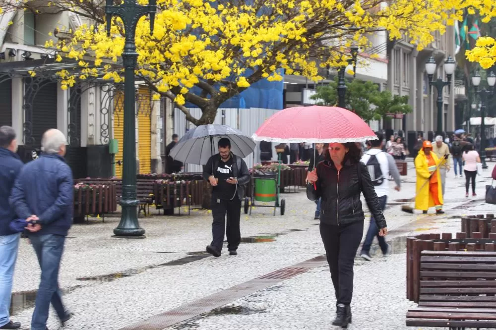 Frente fria deve provocar chuva em todo o Paraná no domingo e reduzir as temperaturas máximas no início da semana. (Foto: José Fernando Ogura/Arquivo AEN)