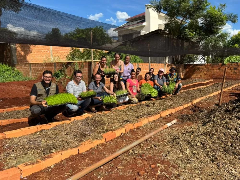 Primeira colheita da horta comunitária do projeto Entre Raízes e Afeto reforça vínculos e valoriza o trabalho coletivo em Quatro Pontes. (Foto: Divulgação)
