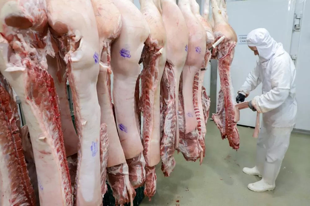 Empresas do Paraná ampliaram vendas para outros estados e movimentaram R$ 978 bilhões em 2025. (Foto: Ari Dias/AEN)