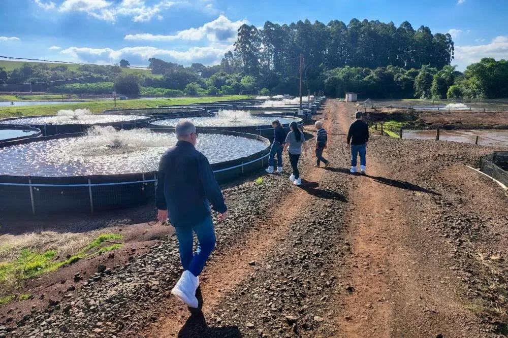 Projeto da Adapar em cooperação com instituto norueguês avalia práticas de biosseguridade em propriedades produtoras de tilápia no Paraná. (Foto: Adapar)