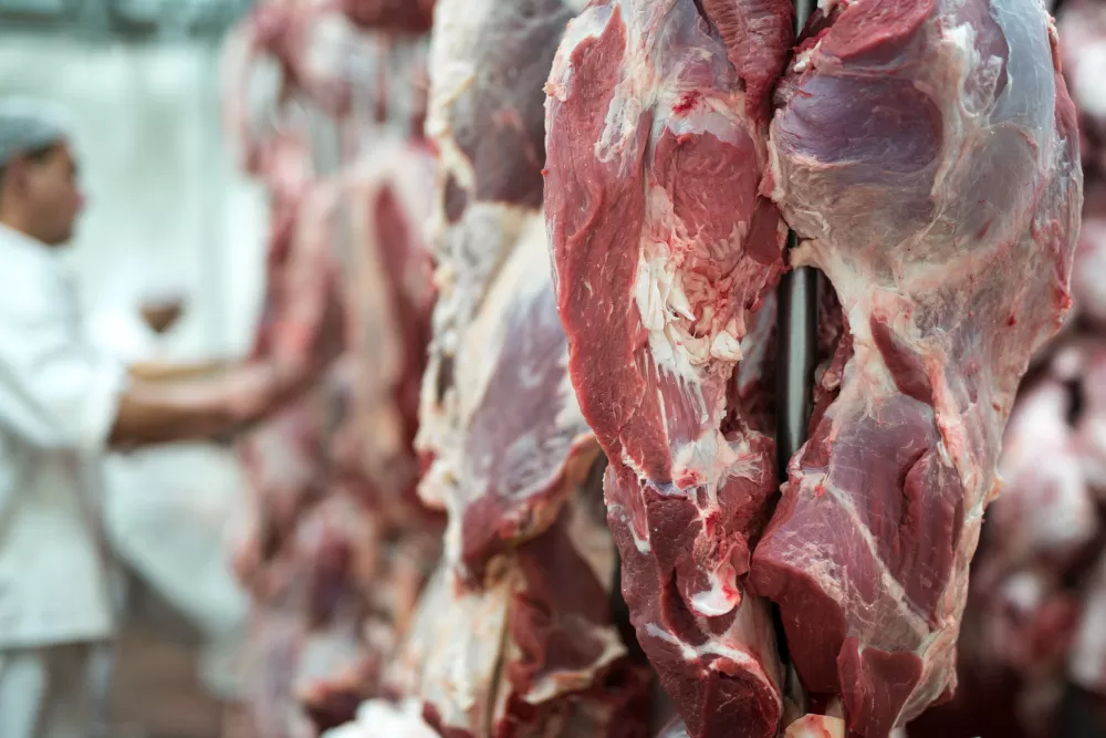 Exportações brasileiras de carne suína cresceram 9% em maio e alcançaram o melhor resultado já registrado para o mês, segundo a ABPA. (Foto: Magnific)