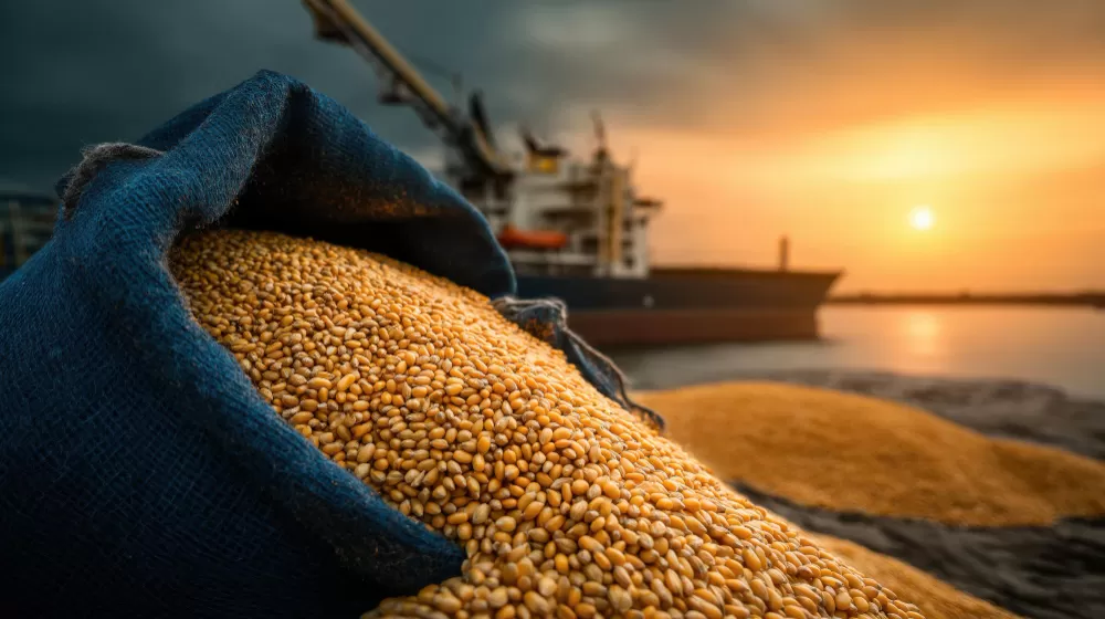 Agronegócio respondeu por 50,2% das exportações brasileiras em maio, com US$ 16 bilhões em vendas externas. (Foto: Magnific)