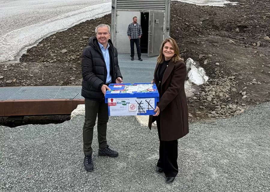 Presidente da Embrapa, Silvia Massruhá, entregou nova remessa de sementes brasileiras ao Banco Mundial de Sementes de Svalbard, na Noruega. (Foto: Divulgação/Embrapa)