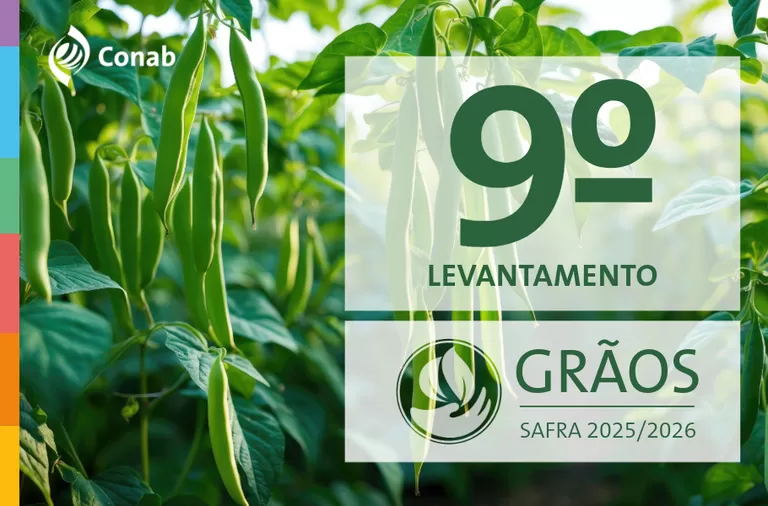 Conab projeta safra recorde de 358,6 milhões de toneladas de grãos no ciclo 2025/26. (Imagem: Divulgação/Conab)