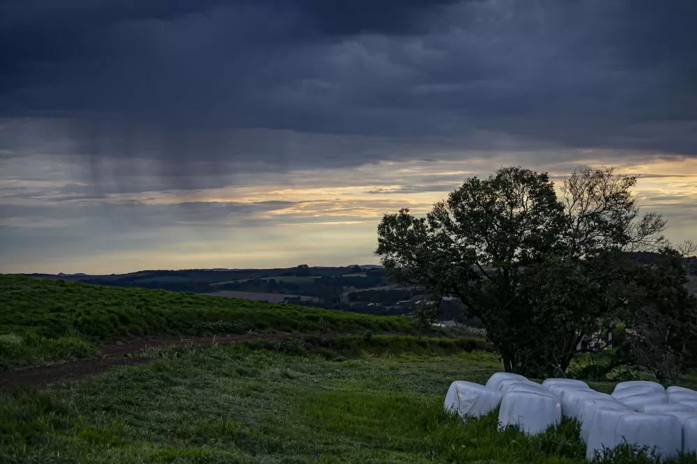 Simepar monitora os possíveis impactos do El Niño no Paraná, com previsão de chuvas acima da média até dezembro. (Foto: Roberto Dziura/AEN)