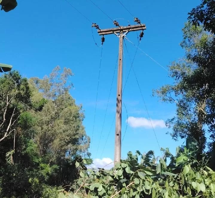 Equipes da Copel realizam poda preventiva de árvores próximas à rede elétrica para reduzir riscos de desligamentos. (Foto: Divulgação/Copel)