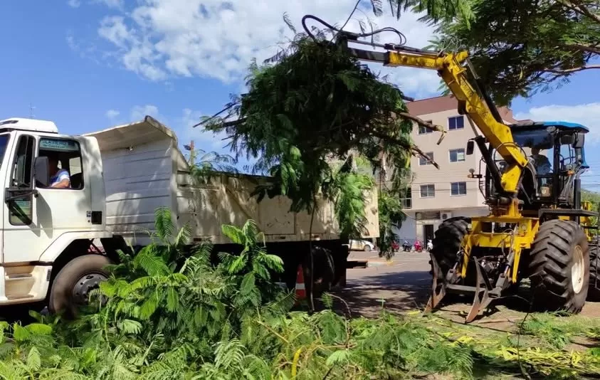 Moradores de Margarida podem depositar galhos, entulhos e inservíveis até domingo